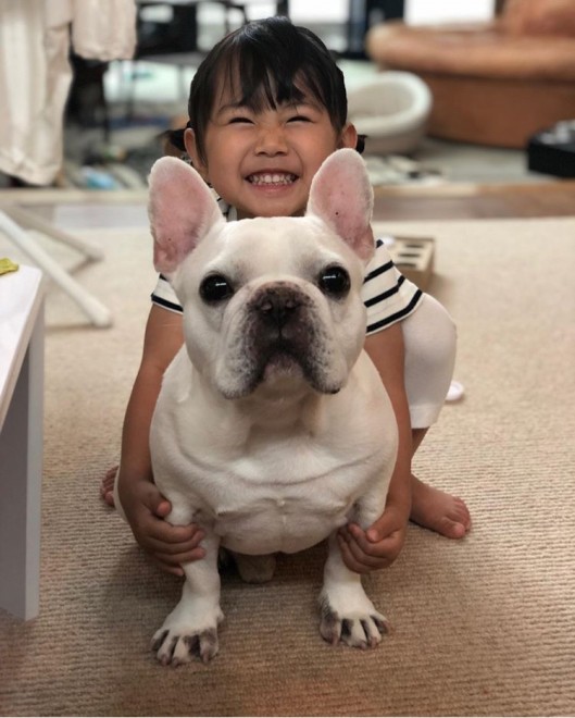 まるで本当の兄妹みたい ブルドッグ犬が娘に与えてくれた影響とは Eltha エルザ